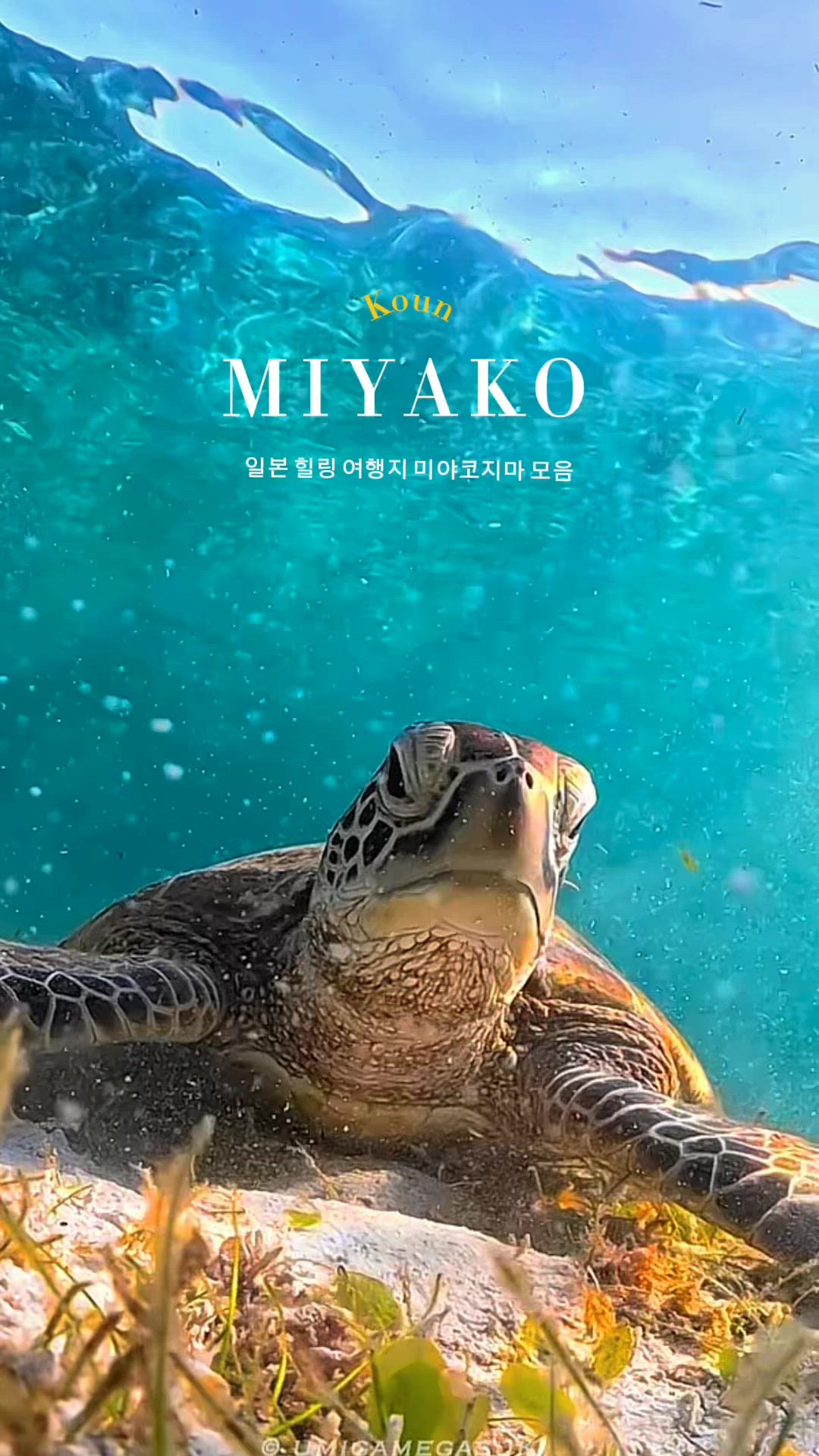 미야코지마시 영상 1