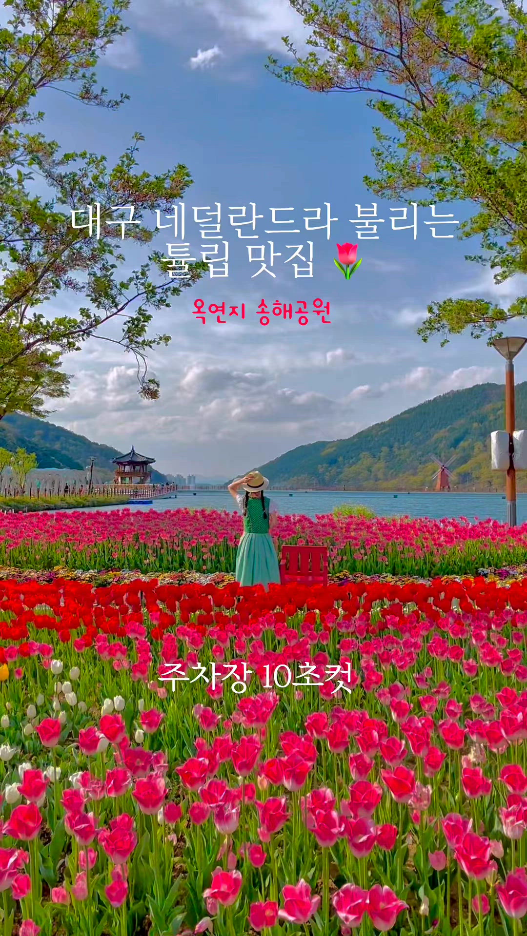 달서 영상 1