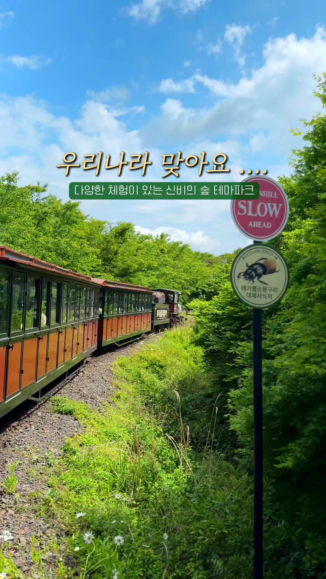 Gimnyeong Maze Park 영상 2