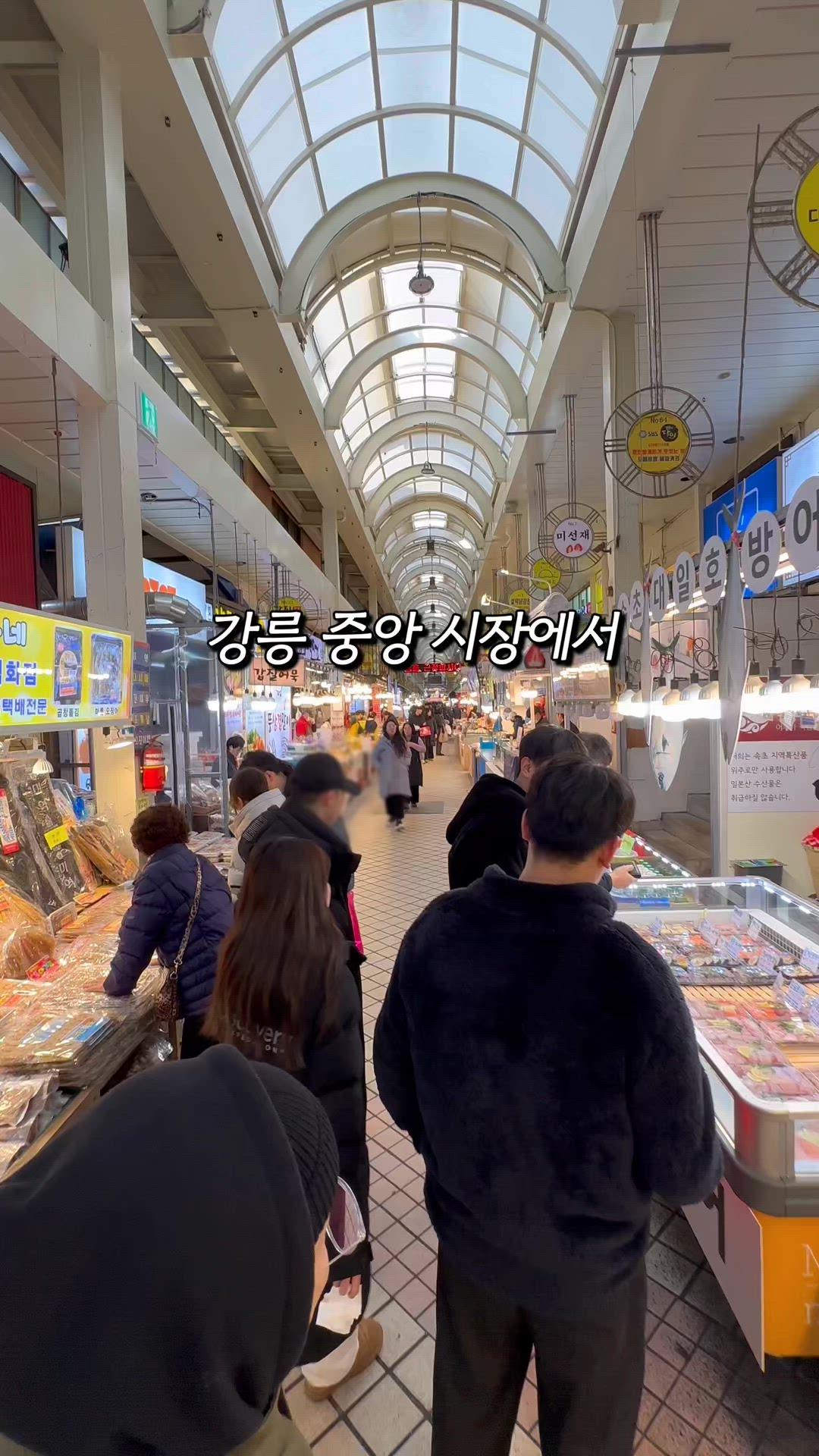 강릉 영상 4