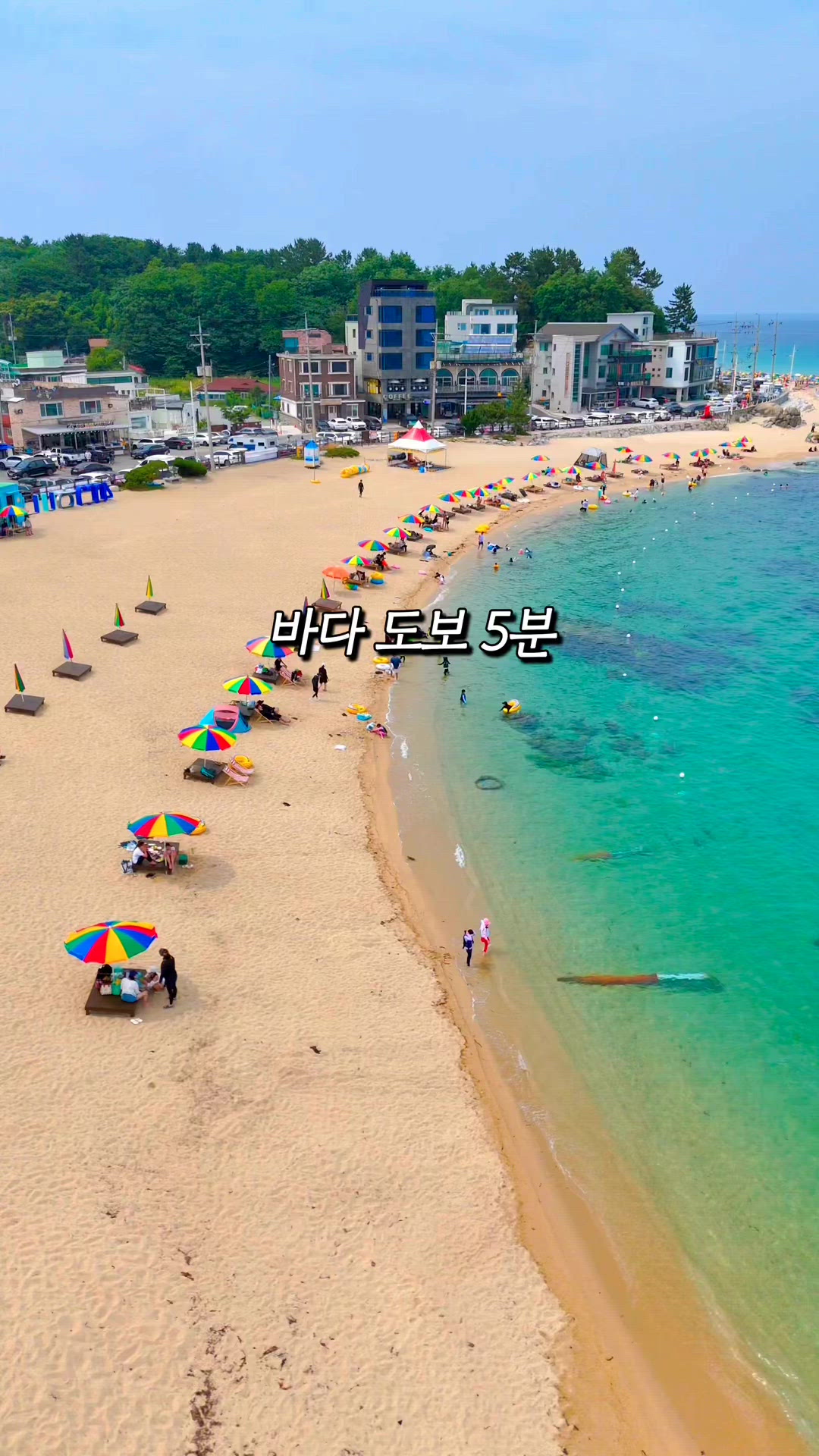 강릉 영상 5