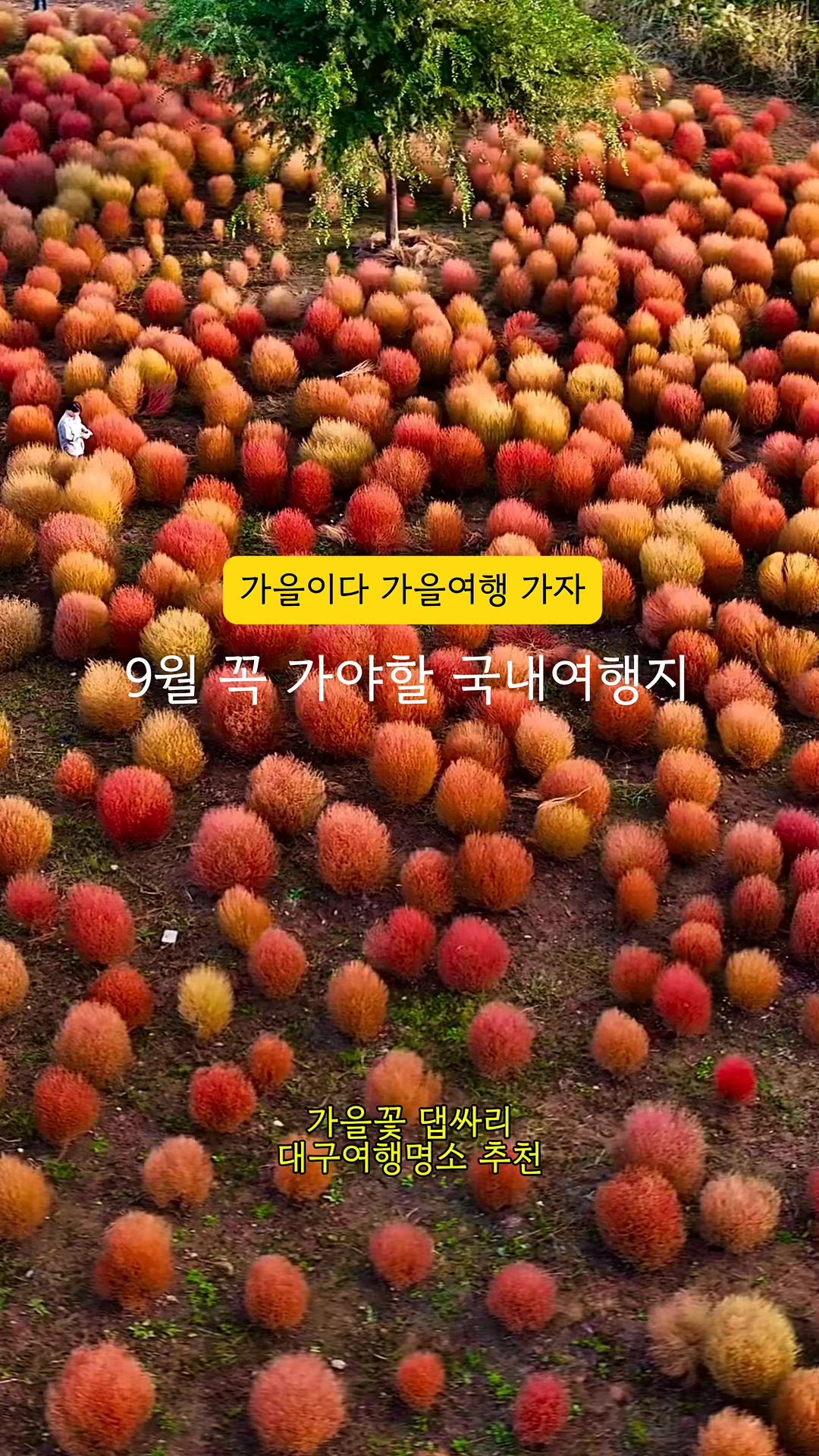Buk-gu 영상 2