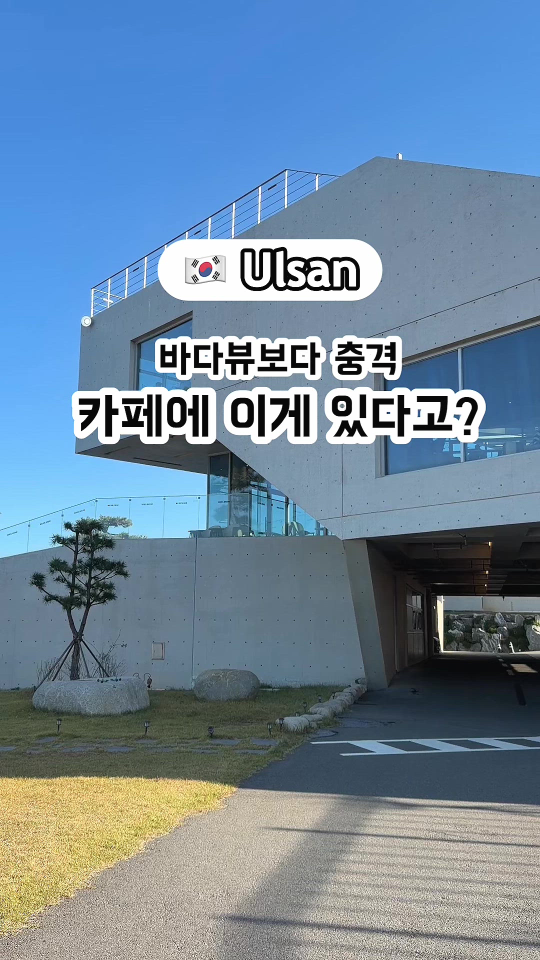 Ulsan 영상 4