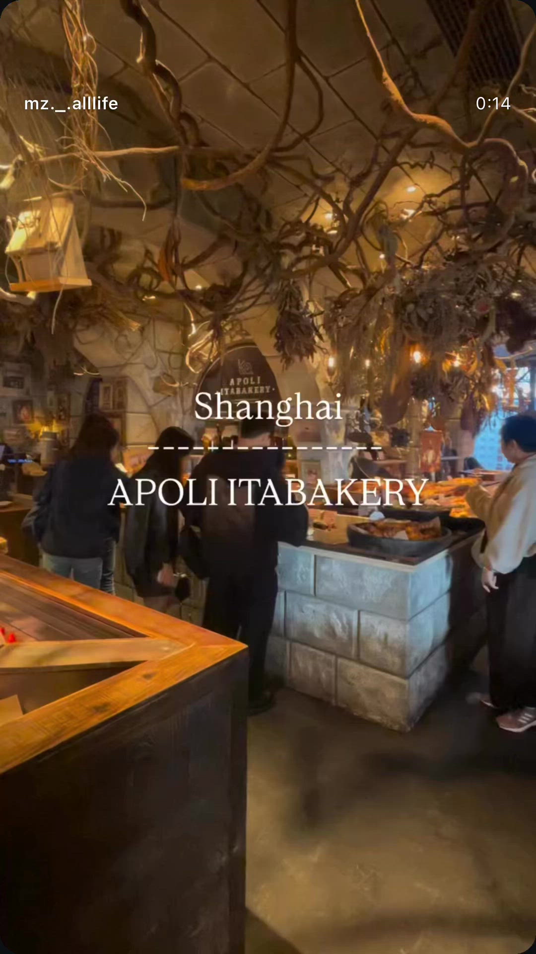 Shanghai 영상 6