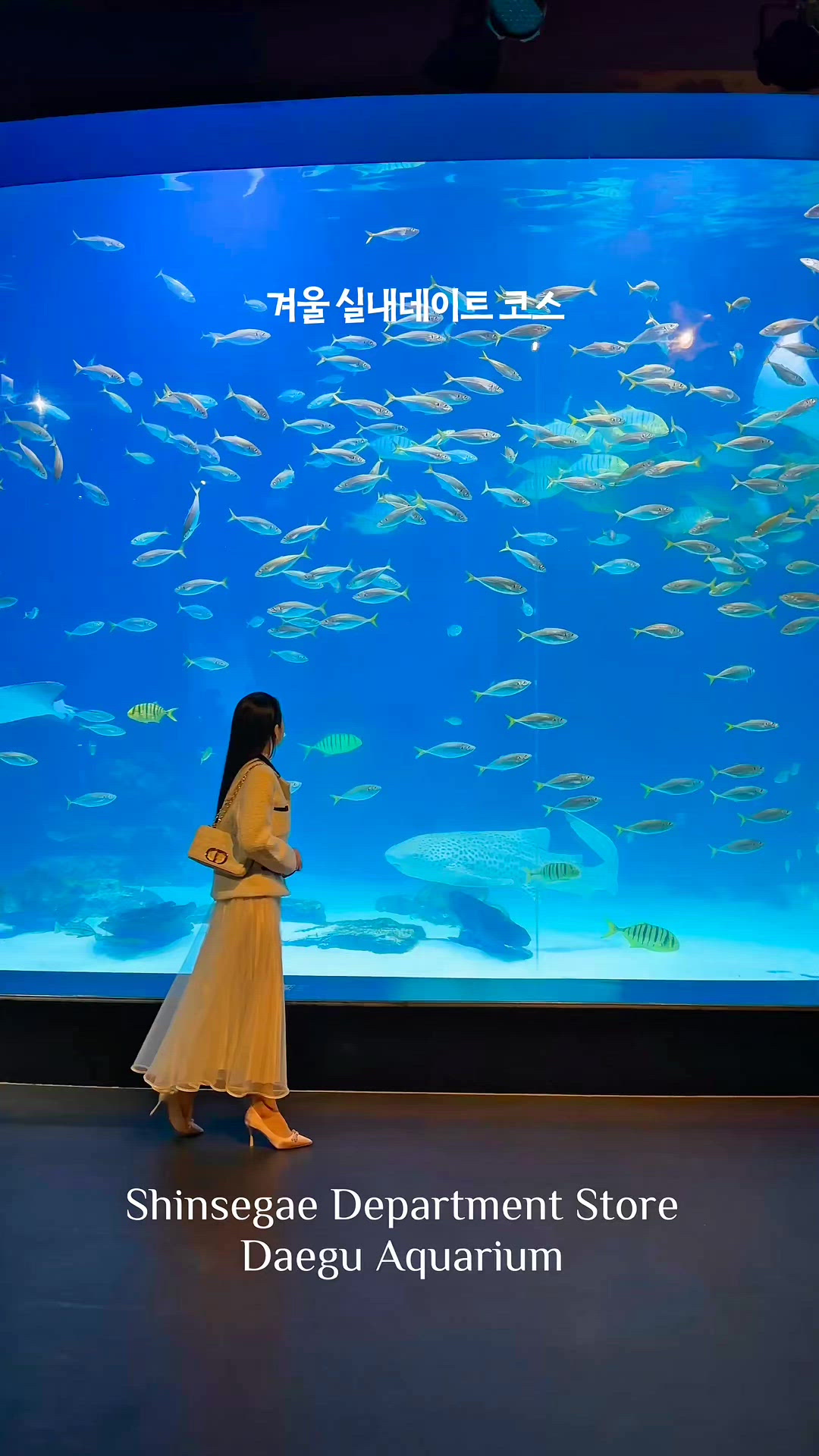 Dong-gu 영상 3