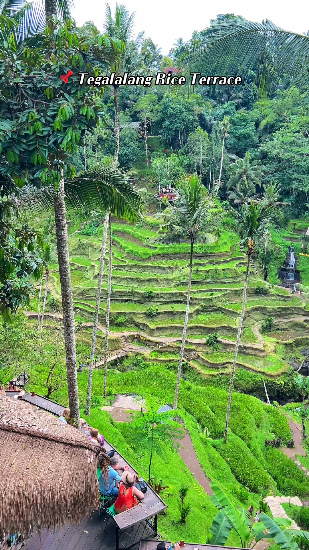 Bali 영상 3