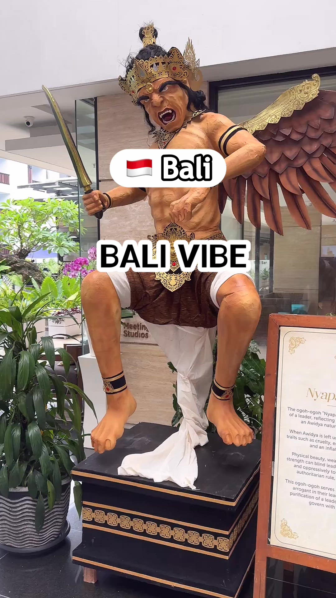 Bali 영상 4