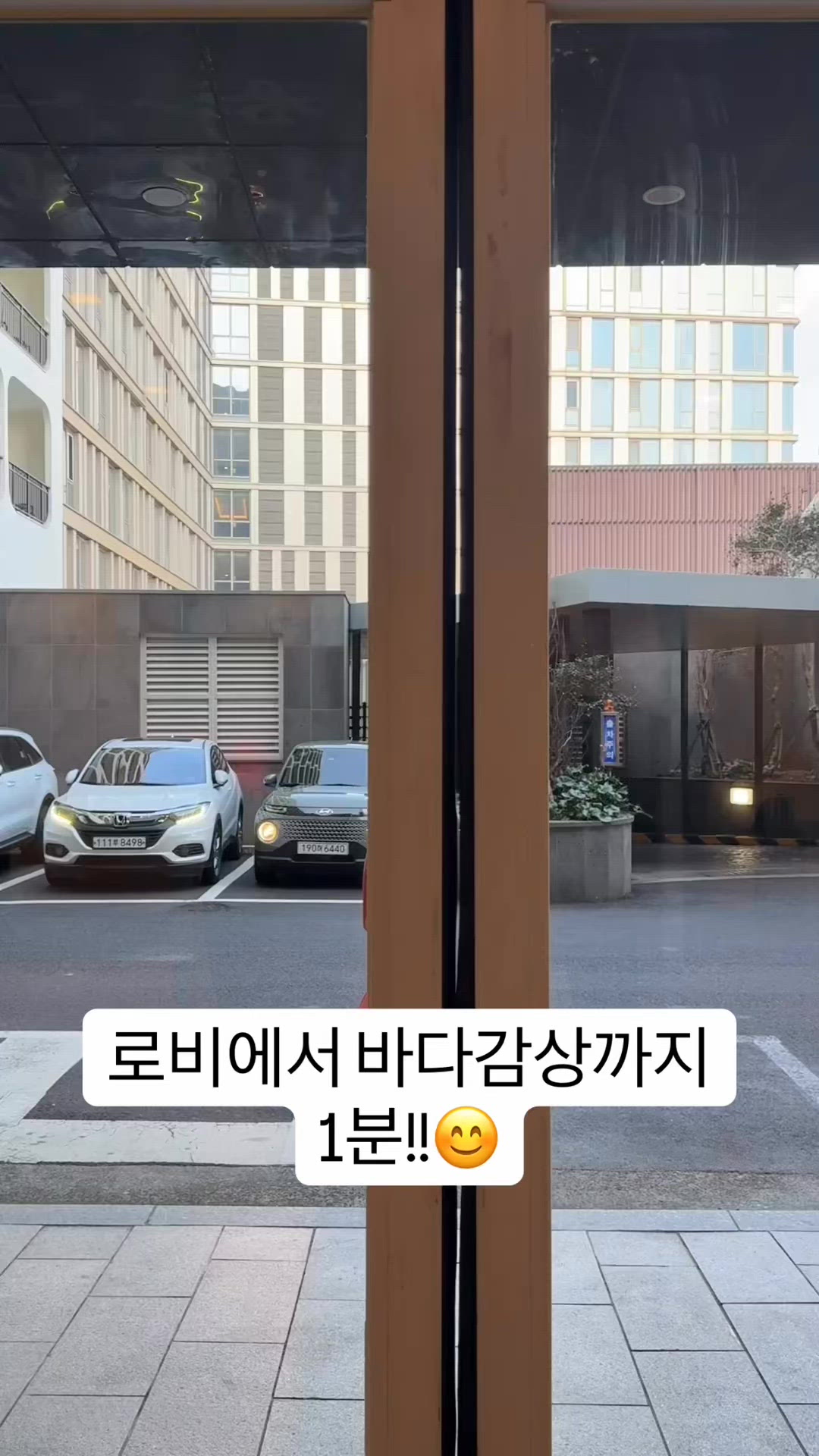 제주시 영상 4