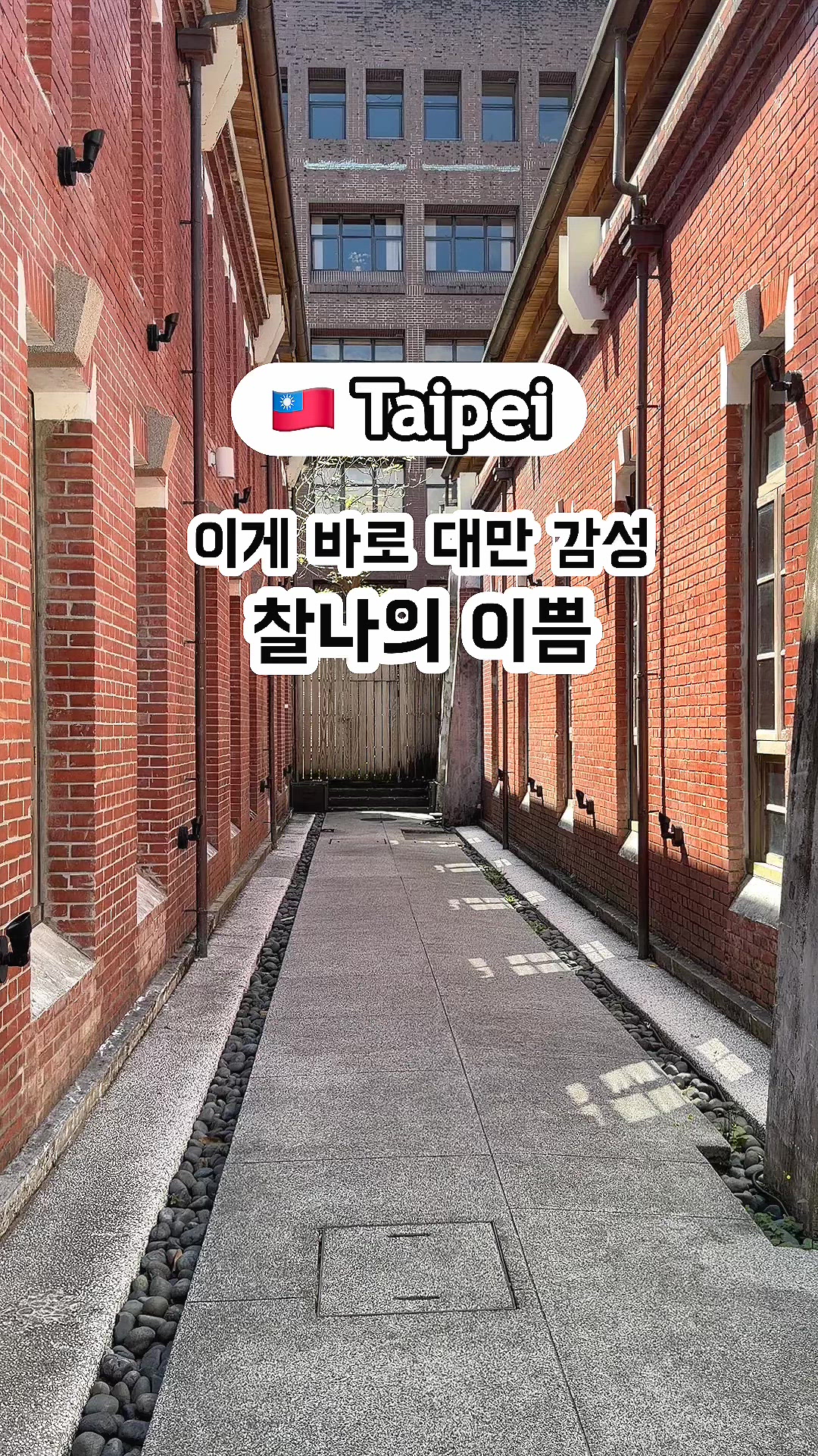 타이베이 영상 1