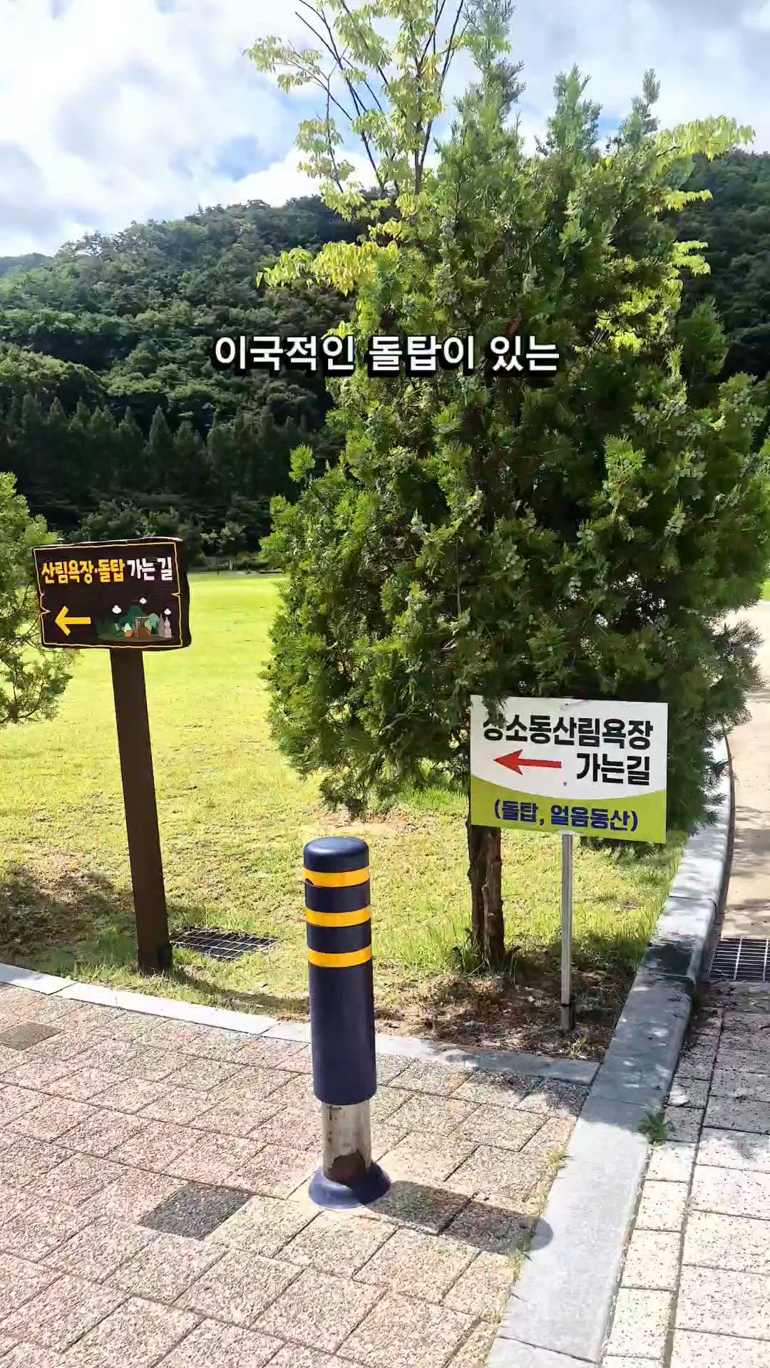 Daejeon 영상 3