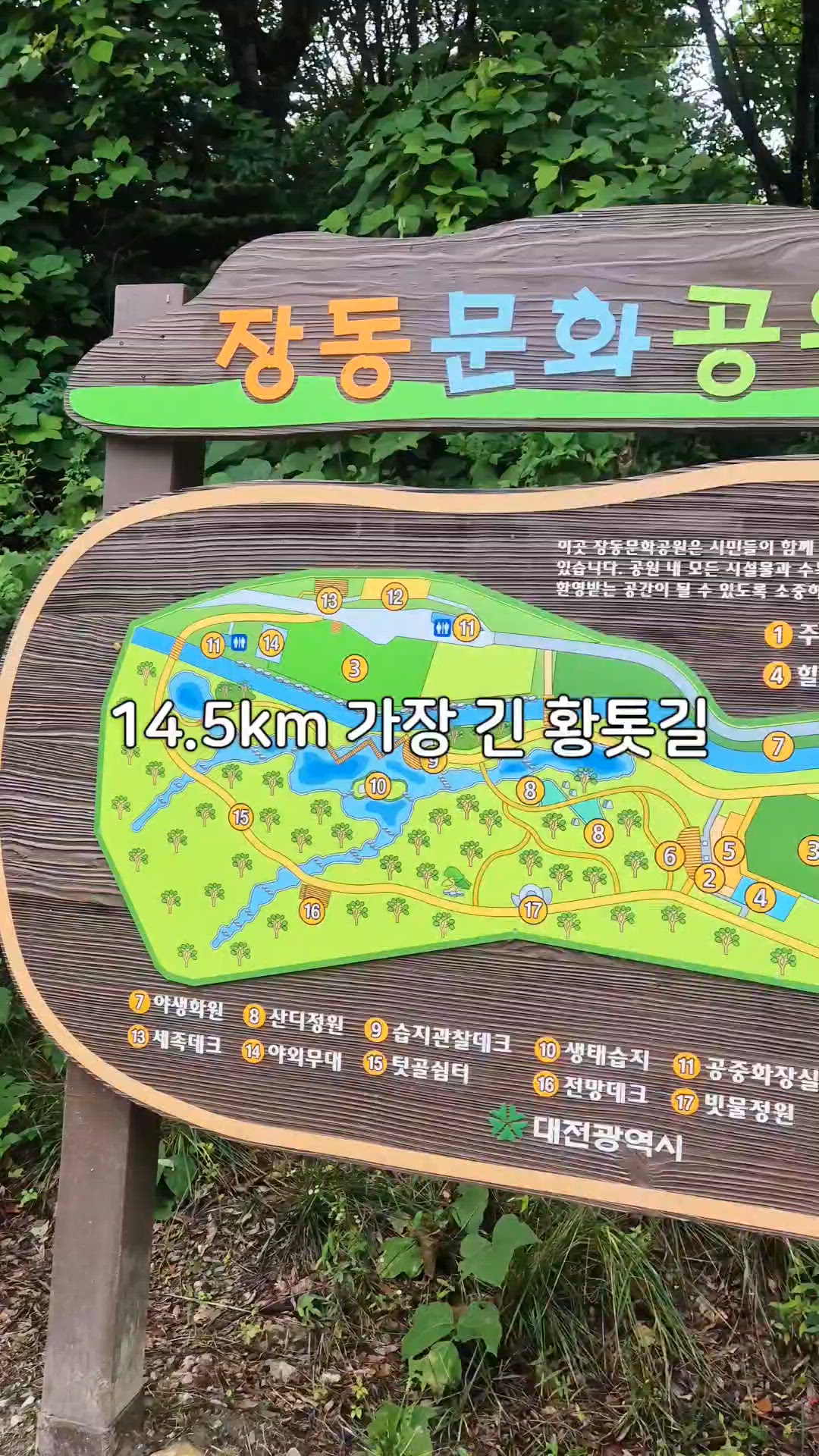 Daejeon 영상 4