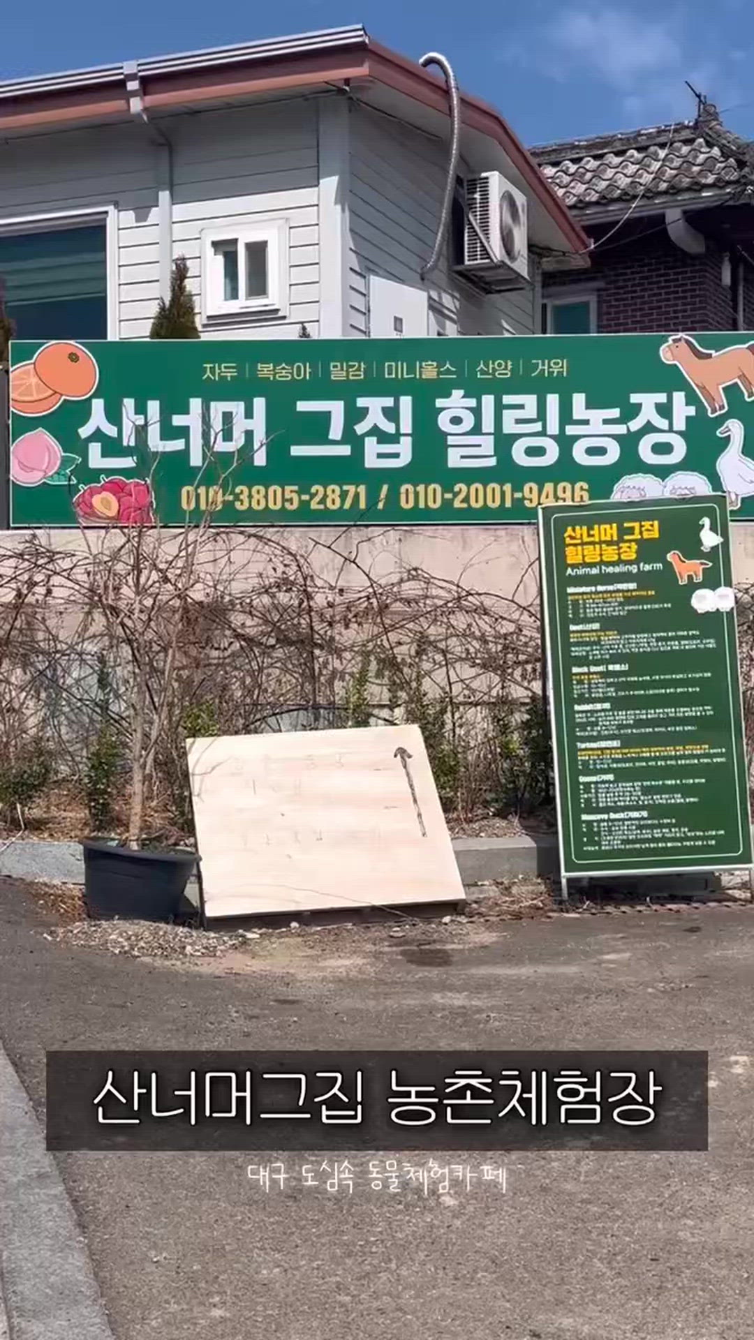 Daegu 영상 5