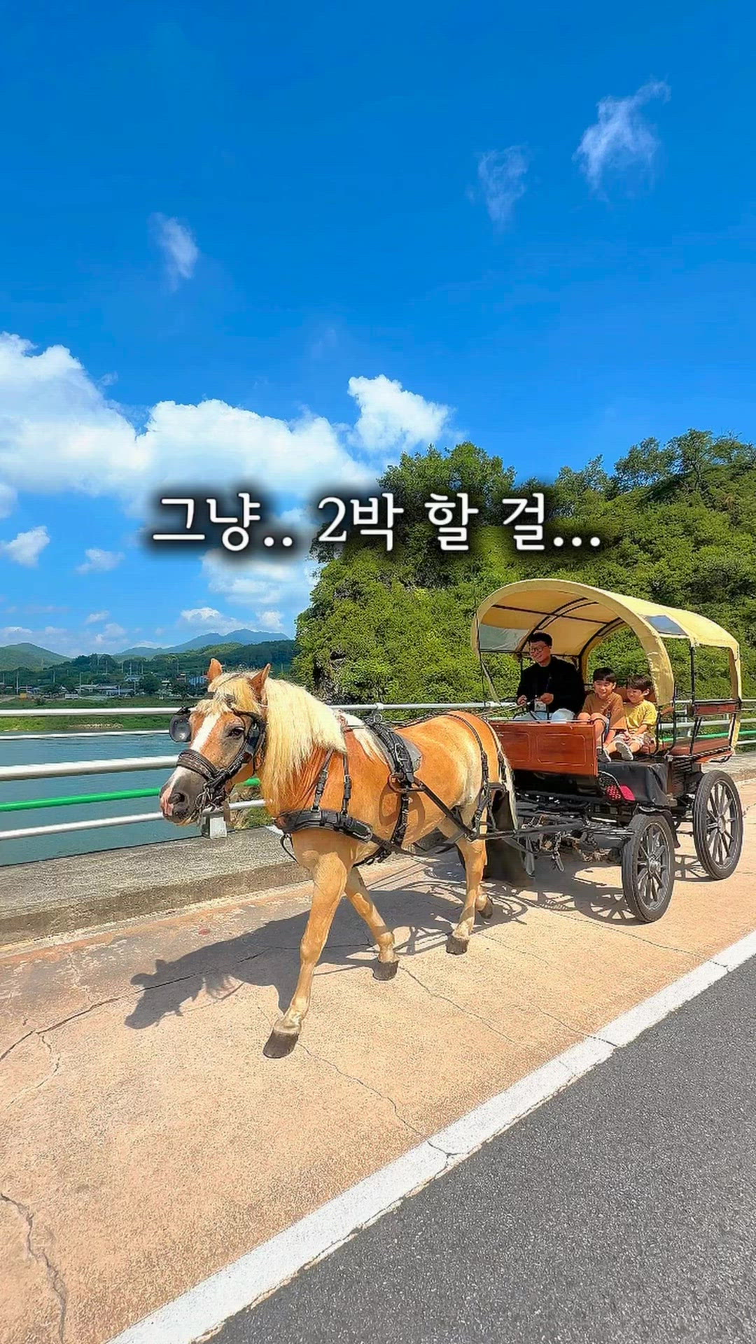 Chungbuk 영상 9