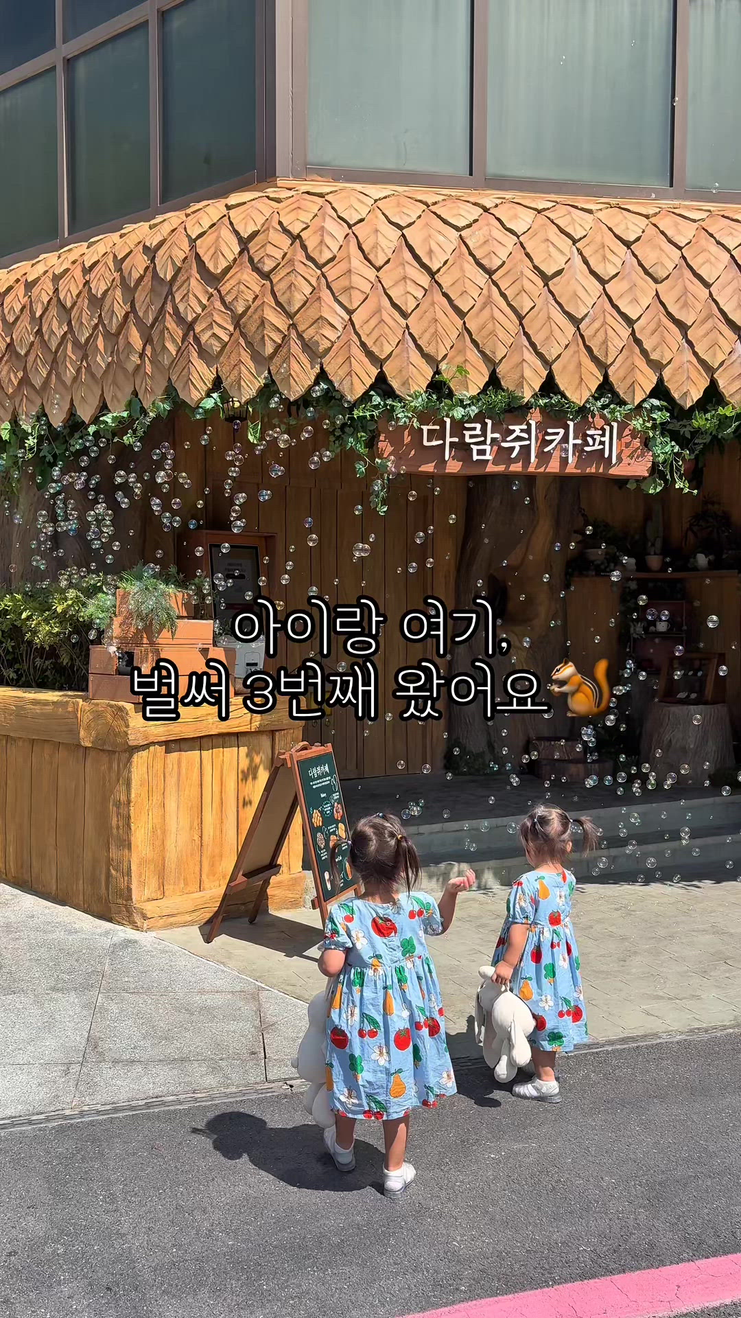 Chungbuk 영상 10
