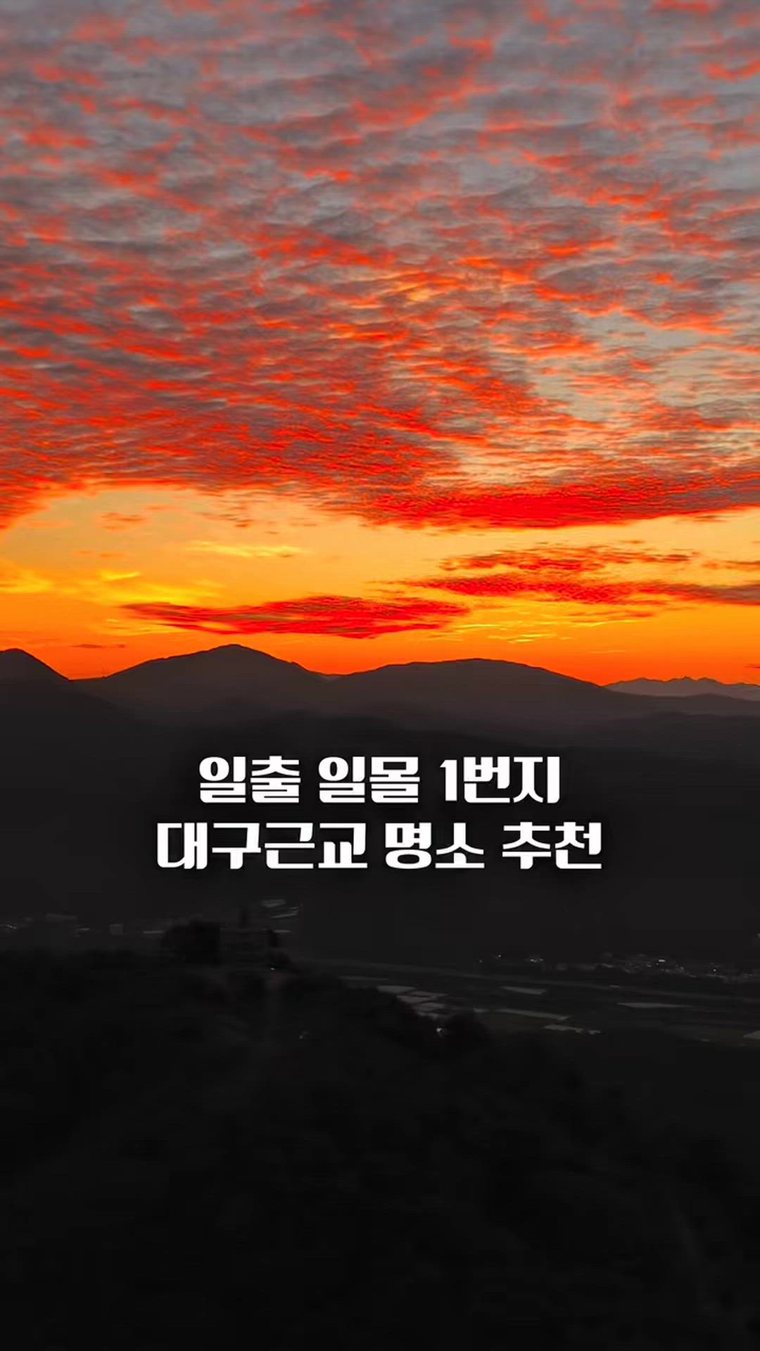 Daegu 영상 7